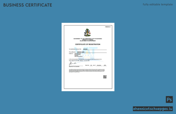 Beispiel für ein bahamaisches Mehrwertsteuer-Registrierungszertifikat (Word- und PDF-Datei)